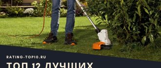 12 Best Electric Trimmers
