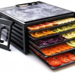 Dehydrator dryer: we prepare fruits, vegetables, meat and fish