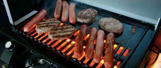 Electric grill - what is it, device, principle of operation, what can be prepared, pros and cons