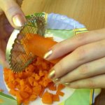 What types of manual vegetable cutters are there: photos, how to use, top of the best