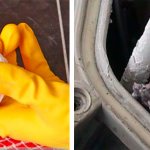 The best products for cleaning washing machines from unpleasant stock, mold