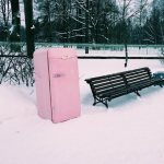 Is it possible to store a refrigerator in the cold?