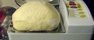Dough in a bread machine